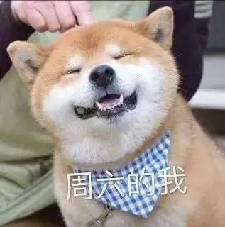 周一综合症真是让人烦烦烦