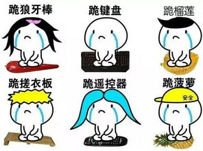 相濡以沫五十载,现在终于圆梦弥补遗憾了