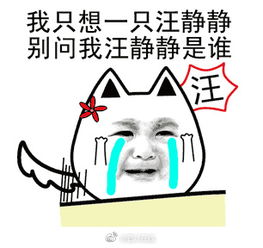 80后90后婚恋模式出现新趋势女大男小婚姻增多