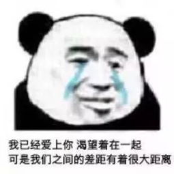 威力强大的斗图表情包你没对象,好可怜哦