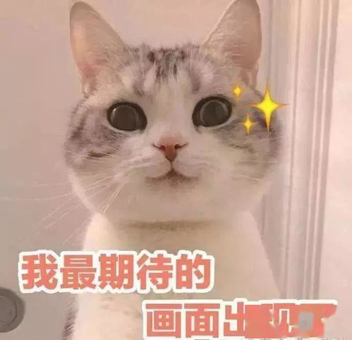 检验科最全表情包,太真实了