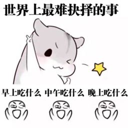 一个有表情包的软件叫什么仓鼠
