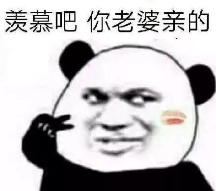 熊猫头无水印斗图必备表情包