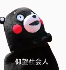成功保研后的内功修炼秘籍