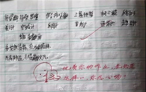 小老师表情包作业本