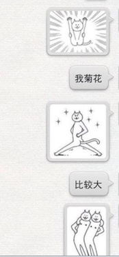这只猫叫什么,求表情包