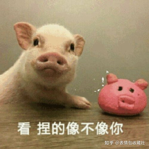 谁有微信表情包可爱的哪种