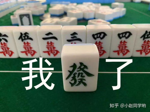 麻将表情包也太好笑了吧,哈哈哈哈哈哈哈