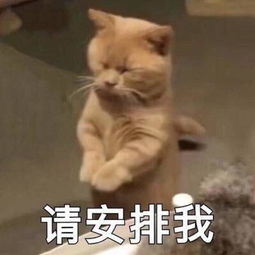 驭夫课堂vol.21日子这么苦,夫妻之间没点情趣哪里过得下去