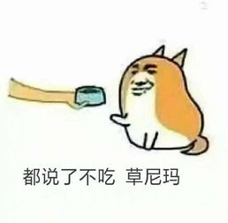 真的有那么多甜甜的恋爱嘛