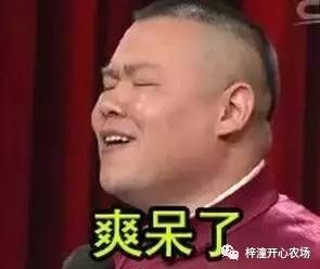 k歌比赛沙滩排球水上竞技喝着啤酒搓麻将,这才是酷热夏天正确的打开方式嘛