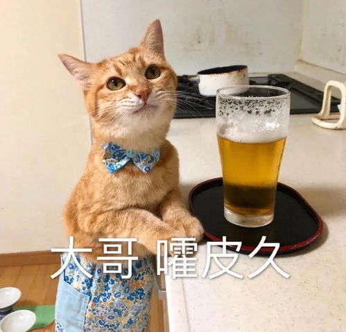 一波吵架名场面,搬好小板凳来围观