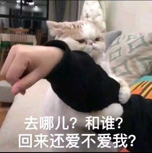 你还真是饿了表情包