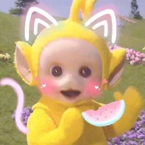 假期倒计时你不得不看的假期综艺