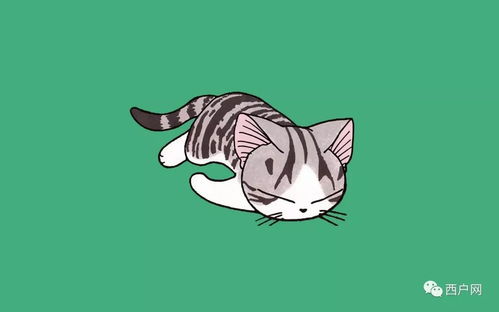 绿叶子文章推荐我家的猫