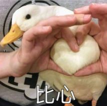 注意雷电暴雨双预警今晨厦门惊现双彩虹明天雨还要更大