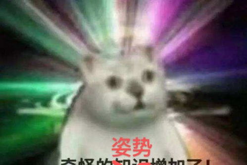 12岁森碟近照曝光神仙大长腿吓坏网友这腿是真实存在的吗