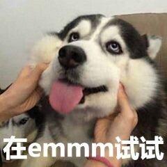 狗狗表情包合集你来打我啊