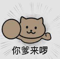 今日表情包,1220