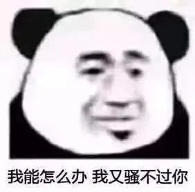 抖音表情包大全丨说不上爱别说话