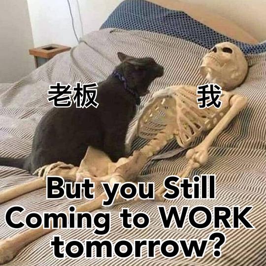 黑猫十一的相册我用别人家主子作过的表情包
