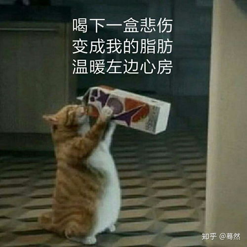淘宝客服小二可信吗