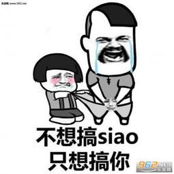 表情包不你不想只想