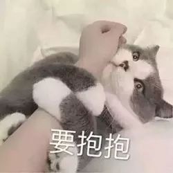 吊打红毯奇葩的辛芷蕾生图绝美的娜扎,都栽在它手上