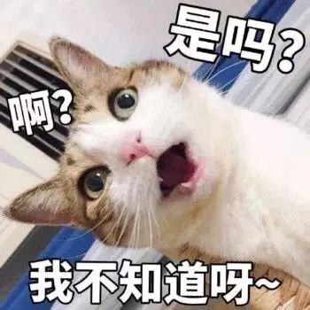表情包丨来打我呀,我有医保