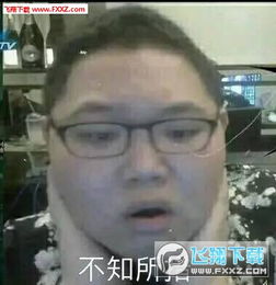 pdd最新表情包下载pdd最新表情包下载飞翔下载