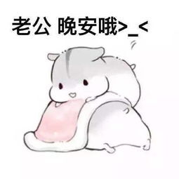 仓鼠叫老公的表情包