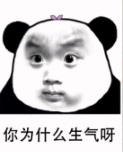 粉丝开箱双11大型云开箱现场,读者们也太会买了吧