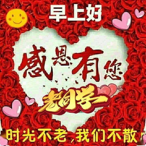 早上好表情包,感恩有你,老同学时光不老,我们不散祝福