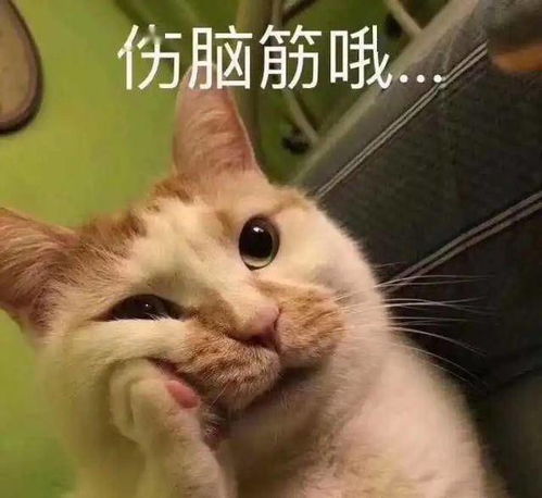 广东人养生路子太太太太太太野进来教你谨防翻车