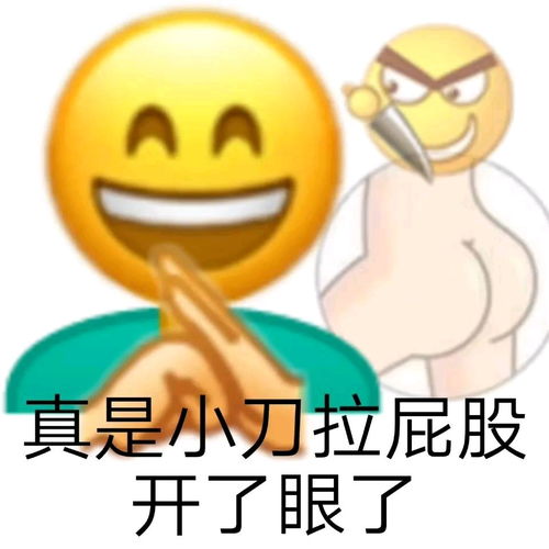 俺妹黑猫表情包wf