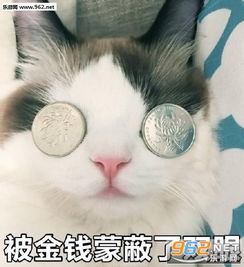 蒙蔽双眼表情包原图