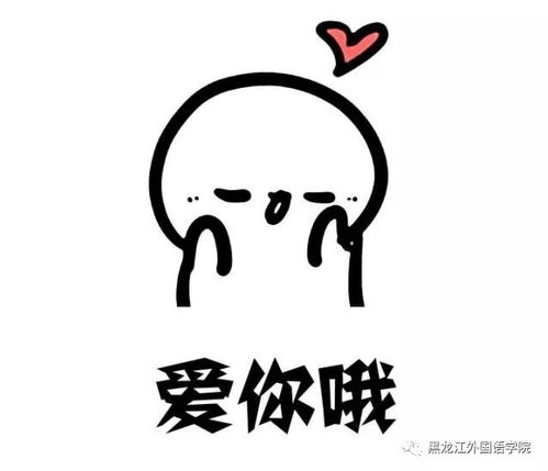 2018黑龙江外国语学院招生指南专业设置下篇