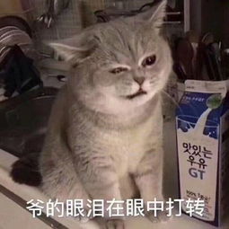 李姐笑话没经过我媳妇的同意喝了她的酸奶,把我打骨折了