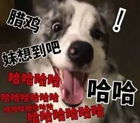 今日神段丨这么假的分手理由,亏你想得出