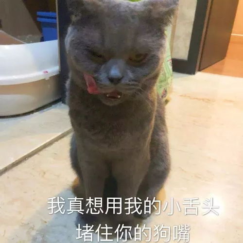搞笑表情包下一个挨打的就是你