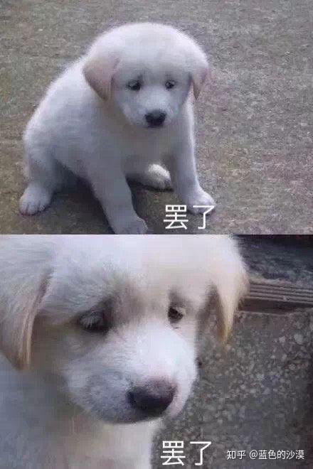 萌萌表情包,让聊天不再高冷逗比