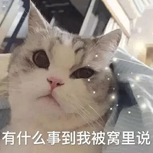 又有两股冷空气要来德州一年中最冷的时刻开始了
