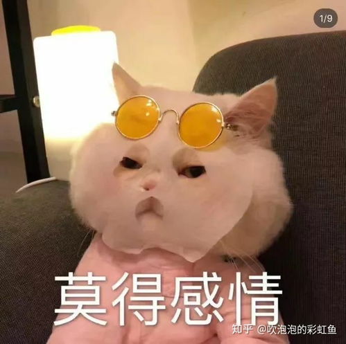 自私的男人遇到喜欢的女人会真心爱她吗