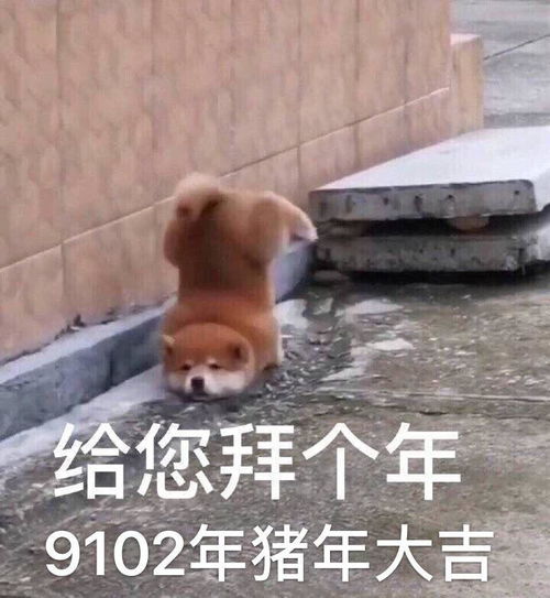 人设翻车diss网友,流量小生刚红就飘