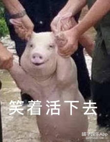 最帅警察全能消防员...果然是神通广大的帅哥都在国家军队