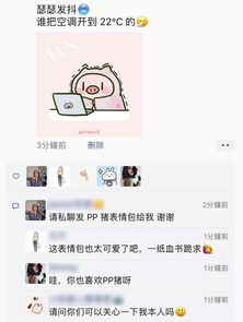 女友最爱的抱抱枕,表情包pp猪同款,七夕就送它