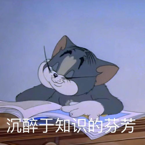 哇欧放假该有的样子