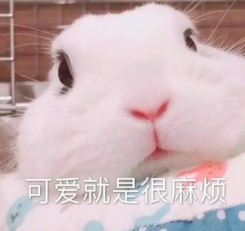 今日份热门表情你又不跟我睡管我几点睡