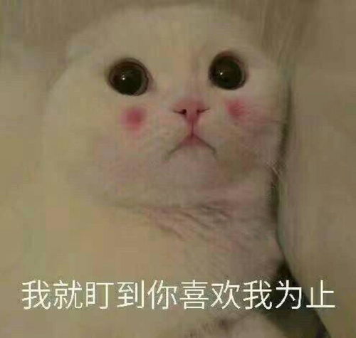 做基因检测是一种怎样的体验