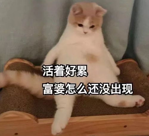 王菲张馨予的名贵护肤品因它毁于一旦,果然知识决定化妆品的寿命